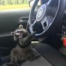 theraccondriver