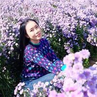 yingnuimoggy