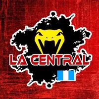 repuestos_la_central