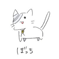 botchi_saida
