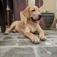 sahiltechzone