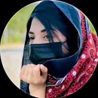 sabirabugti261