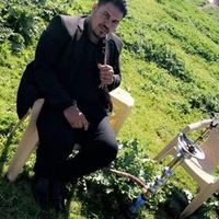 الصوت الأصلي