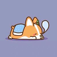 nguyenkitty6