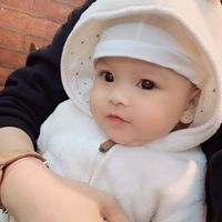 nhạc nền - Đoàn Quang Hoàn