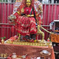 kalpanagautam029
