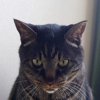 suke2012