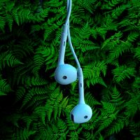 ___melody_corner___