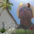 dirceu896
