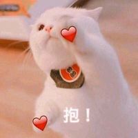 nhạc nền - 🍀Shimato Yuoto🍀