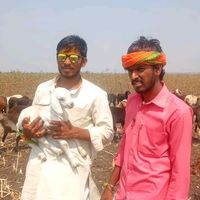 malinga17391727