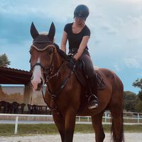 _equi_life_