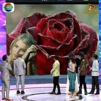 natamammadova