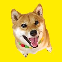 shibainu_momoppu