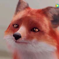 Đây chính là tình yêu sao