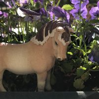 schleich.lrk