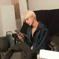 돈스탑