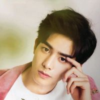 re_songweilong