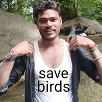 original sound - srianandh777