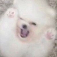 コインロッカーベイビー