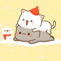 omgamnoob55