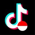 tiktokeffects_id