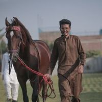 mfaizanbashir