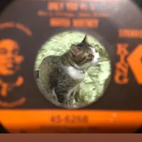 original sound - djsmikich