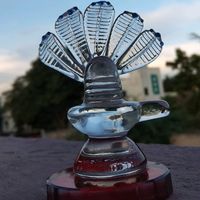 gona_vg1