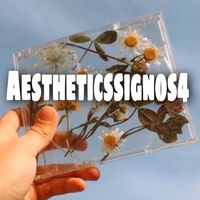 aestheticsignos4