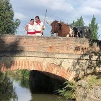 adolfoarranzrepiso