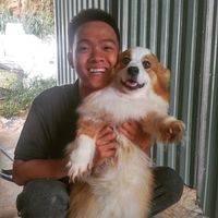 nhạc nền - Chú ba 😀
