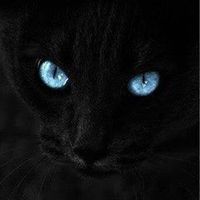 newblandblacklady