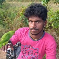 sankarsankarssss