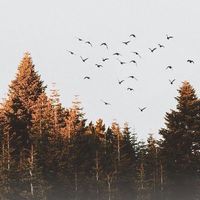 healing_quotes
