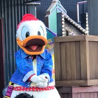 別に好きじゃないよ