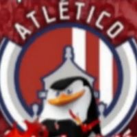 pablo_11_6
