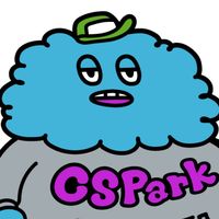 csparkbasketball