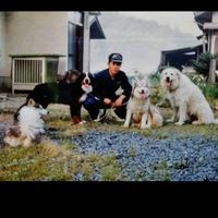 animalkz