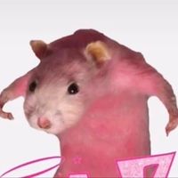 _the.fattest_rat