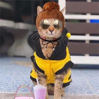 khonthongnotacat