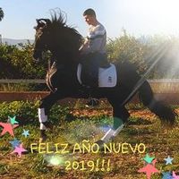 user9461335733583