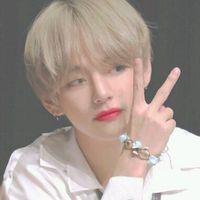 30455396433army