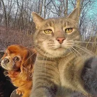 original sound - prince_braich