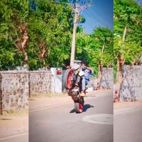 _duke_faizal