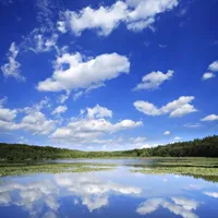 original sound - 75326545