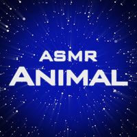 nhạc nền - Animal ASMR