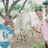 appurock86