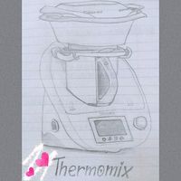 cathynthermomix