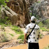 ylhamv777